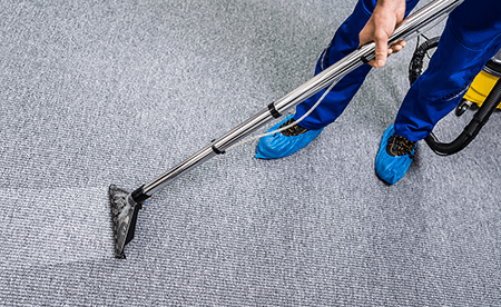 Hire Palmetto Services to deep clean your carpets.